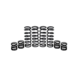 Zbroz Racing Polaris General XP 1000 Dual Rate Spring Kit