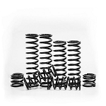 Zbroz Racing Honda Talon 1000x-4 Stage 1 Spring Kit